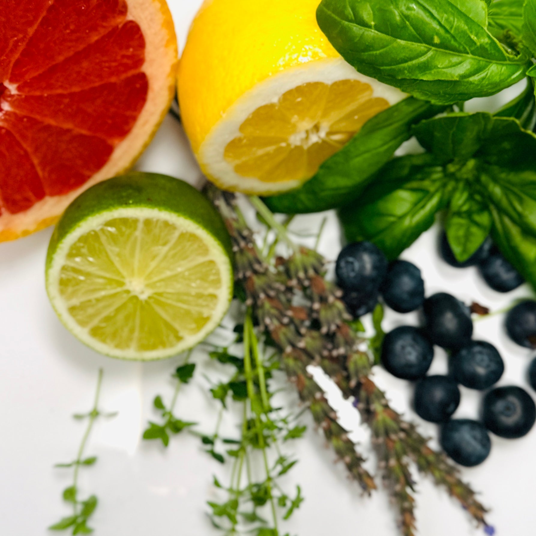 Vodka Soda Infusion Kit – Sugar Free - Travel Cocktail Tea Bags